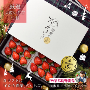 [2024年12月中旬より順次発送] 「究極のふつういちご」厳選大粒とちあいか 30粒入り＋いちご狩りペアご招待券｜とちあいか いちご イチゴ 苺 大粒 果物 果実 いちご狩り 収穫 招待券 チケット 産地直送 日光市産 先行予約 [0420]