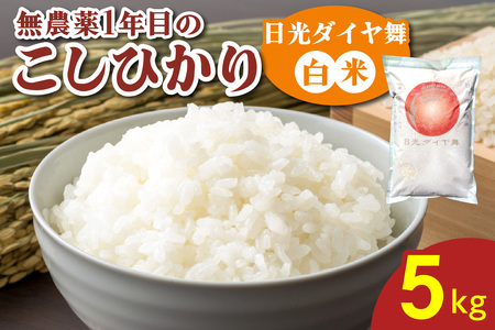 [令和7年度米] 無農薬1年目 こしひかり [日光ダイヤ舞/白米 5kg] 令和7年10月中旬より順次発送|2025年度米 無農薬米 オーガニック コシヒカリ 新米 精米 お米 ごはん ご飯 日光産 国産 産地直送 先行予約 [0624]