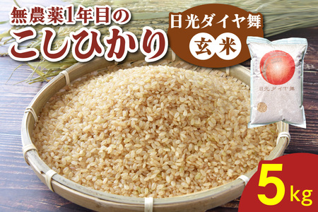 [令和7年度米] 無農薬1年目 こしひかり [日光ダイヤ舞/玄米 5kg] 令和7年10月中旬より順次発送|2025年度米 無農薬米 オーガニック コシヒカリ 新米 お米 ごはん ご飯 日光産 国産 産地直送 先行予約 [0625]