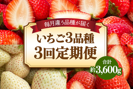 [先行予約] [定期便/3ヶ月] 日光産 人気のいちご3品種定期便 (毎月1品種 約1.2kg×3回 計3.6kg) [2026年1月中旬から順次発送]