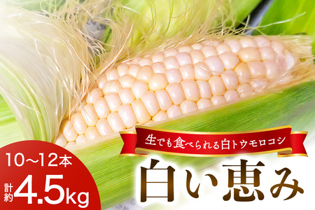 [s\] łHׂ锒gERVub݁v10{12{^4,5kgbgERV gERV Ƃ낱 b  t[c XC[c x Ȗ،Y Y 