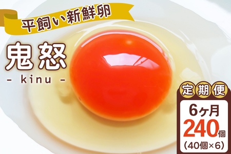 [ց^6] VNuS{v40×6 v240 gIb6A  sY  藑 ܂ ʎq  { [0725]