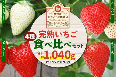 [2026�N1����{��菇������] 4��ނ́u���n�������v �H�ה�ׁI B�Z�b�g 260g×4�p�b�N �����̎��R����ނ������b��s�\�� ���Ԍ��� �C�`�S � �t���[�c �Ƃ����Ƃ� �Ƃ������� �X�J�C�x���[