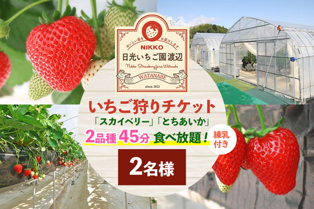 いちご狩りチケット 2名様「スカイベリー」「とちあいか」2品種45分食べ放題!練乳付き![日光いちご園 渡辺]|イチゴ狩り 収穫体験 フルーツ狩り 入園券 観光 旅行 イチゴ 苺 フルーツ 果物 果実 日光市 [0847]