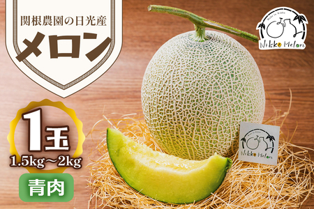 関根農園の日光産「青肉メロン」1玉[2026年9月初旬より順次発送]|先行予約 メロン 果物 くだもの フルーツ スイーツ 青肉 日光市産 栃木県産 国産 [0851]