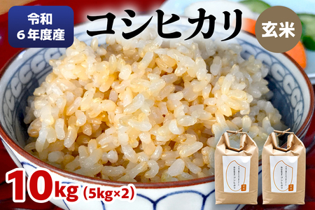 令和6年度産 特別栽培米 コシヒカリ 玄米10kg(5kg×2袋)|数量限定 お米 こしひかり 2024年度米 精米 玄米 国産 日光産 産地直送 [0402]