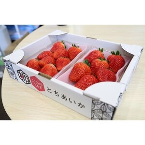 ÿizRsYEuƂv 280g×2PyzsnFEkCEꌧEMzAkECEߋEEElEBzy1260981z