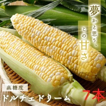 糖度20度!甘くて美味いとうもろこし「ドルチェドリーム」 7本【配送不可地域：離島・北海道・沖縄県・信越、北陸・東海・近畿・中国・四国・九州】【1487251】