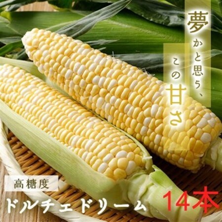 糖度20度!甘くて美味いとうもろこし「ドルチェドリーム」 14本【配送不可地域：離島・北海道・沖縄県・信越、北陸・東海・近畿・中国・四国・九州】【1487255】
