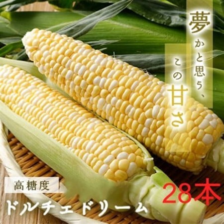 糖度20度!甘くて美味いとうもろこし「ドルチェドリーム」 28本【配送不可地域：離島・北海道・沖縄県・信越、北陸・東海・近畿・中国・四国・九州】【1487433】