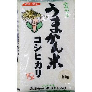 令和5年産 栃木県小山市産 コシヒカリ うまかん米 精米5kg