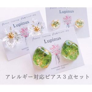 本物のお花を使用!レジンのアクセサリー 3点セット