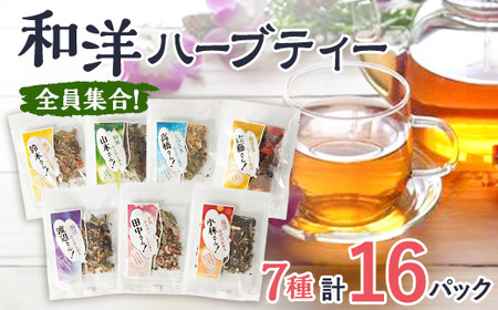 y16pbNzSW!{iuhn[ueB[Ƃؒy1515243z