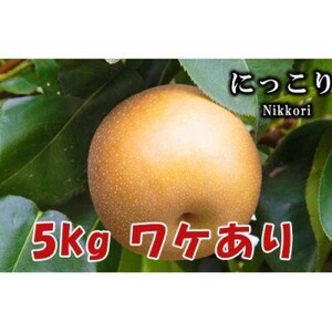 y5kgzȖ،RsYBi@ɂ@y1617304z