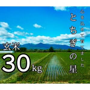 ߘa7NY Ƃ̐  30kgy1628168z