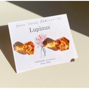 T[WJXeXAM[ΉsAXEbhJ[y1676351z