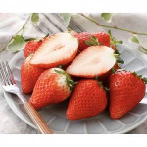 VfÔȉʎ RYXJCx[ 2pbNyzsnFEkCEꌧEElEBzy1678746z