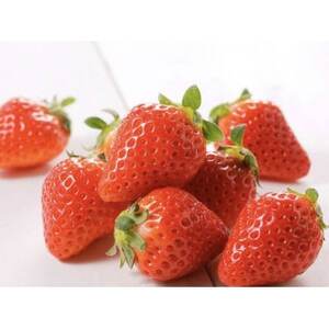 Řb ƂƂ 2pbNyzsnFEkCEꌧEElEBzy1678748z