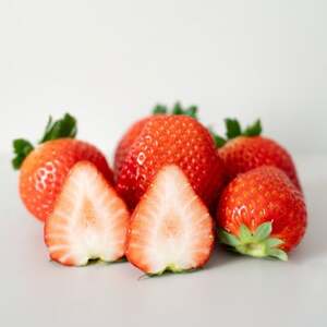 とちあいか ギフト大粒 9粒入り×1箱[配送不可地域:離島・北海道・沖縄県・中国・四国・九州]