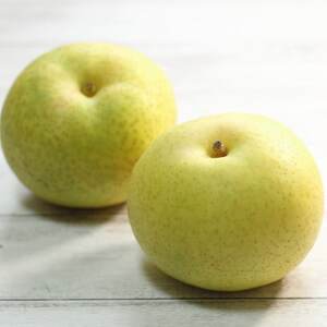 栃木県小山市産「梨」秋麗　5kg【1334081】