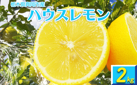 [2024年先行予約]真岡市産ハウスレモン 2kg