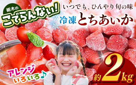 栃木のこでらんない冷凍イチゴ(とちあいか)約2kg |定期便 いちご イチゴ 果物 フルーツ 苺 甘い 美味しい とちあいか 大粒 ジューシー 映え 産地直送 栃木県 真岡市 朝摘み 酸味が少ない 冷凍いちご