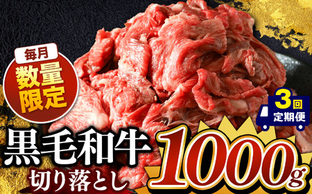 [定期便3回]栃木県産黒毛和牛切り落とし 1000g 真岡市 栃木県 送料無料