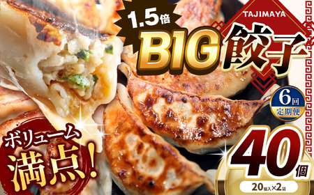 【定期便6回】たじまやオリジナルビッグ餃子 40個  | TAJIMAYA たじまや タジマヤ 大きい ビッグ BIG 餃子 売れ筋 大人気 好評 やみつき リピーター リピート ぎょうざ 旨み 旨味 ぱりっと もっちり ジューシー おかず 惣菜 中華 肉 肉汁 地場 野菜  たっぷり 焼 ごはん おつまみ 栃木県 真岡市 送料無料 