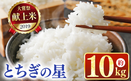 令和7年度 新米 とちぎの星 10kg