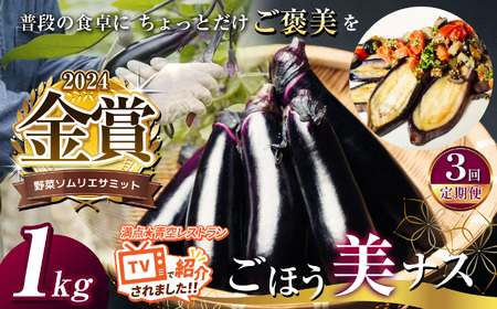 �y�����3��z��؃\�����G�T�~�b�g���܁u���ق����i�X�v ��1kg