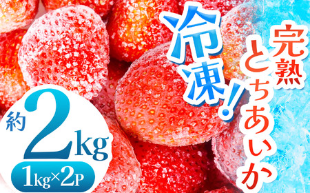 yʌz nIⓀƂ 2kgy2026Ns\z