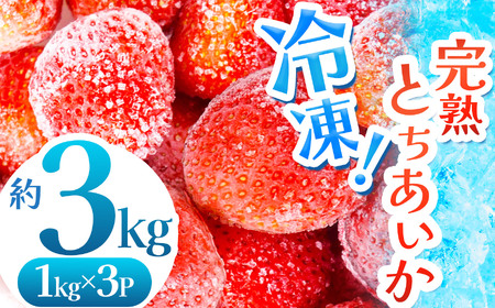 [数量限定] 完熟!冷凍とちあいか 約3kg | グラム数 選べる いちご とちあいか 冷凍 冷凍イチゴ スイーツ ジャム スムージー たっぷり 大粒 甘い 美味しい 果物 デザート 栃木県 真岡市 送料無料