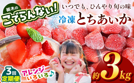 [定期便3回]栃木のこでらんない冷凍イチゴ(とちあいか)約3kg |いちご イチゴ 果物 フルーツ 苺 甘い 美味しい とちあいか 大粒 ジューシー 映え 産地直送 栃木県 真岡市 朝摘み 酸味が少ない 冷凍いちご