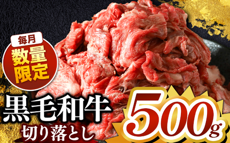 栃木県産黒毛和牛切り落とし 500g 真岡市 栃木県 送料無料