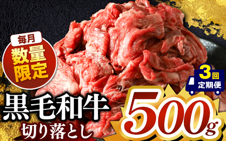 [定期便3回]栃木県産黒毛和牛切り落とし 500g 真岡市 栃木県 送料無料