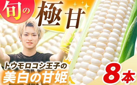 [先行予約]トウモロコシ王子の「美白の甘姫」8本 | とうもろこし トウモロコシ 白トウモロコシ 白とうもろこし 野菜 スイーツ 甘い 栃木県 真岡市 送料無料