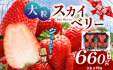 大粒 スカイベリー[12月発送]330g×2p 真岡市 栃木県 送料無料