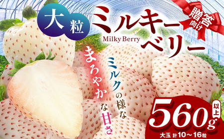 [12月発送]希少な白いちご ミルキーベリー いちご ギフト|280g×2p 12月 贈答品 プレゼント 新鮮 完熟 いちご 旬