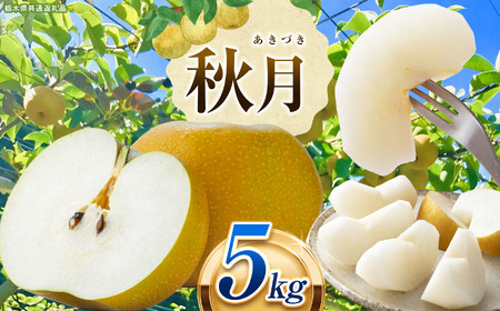 Ȗ،Y Ȃ  H 5kg 9\ |  ʕ  t[c  Ȃ v[g J Â  H 傫 ] iV 8 9 10 Ȗ، ^s  Ȗ،ʕԗ