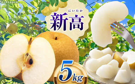 Ȗ،Y Ȃ  V 5kg 9`10\ |  ʕ  t[c  Ȃ v[g J Â  H 傫 ] iV 8 9 10 Ȗ، ^s  Ȗ،