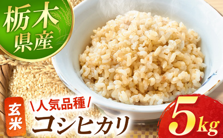 真岡市産 こしひかり 玄米 5kg