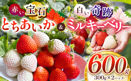 ^sY Ԃ΁uƂvEՁu~L[x[vZbg 600g | g    strawberry Xgx[  Â W[V[ p v[g J XC[c  ]