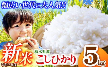 栃木県産 コシヒカリ 5kg