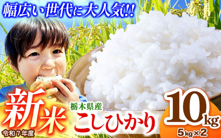 ys\zȖ،YRVqJ 5kg×2 (10kg) | 2025N 10 11 12 H s\ V ^sY Ђ RVqJ Ƃ̐    ɂ ނ ӂ邳Ɣ[ s \ 