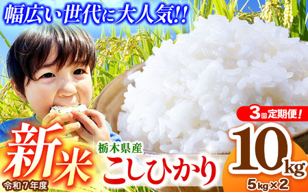 [先行予約][定期便3回]栃木県産コシヒカリ 5kg×2 (10kg) | 新米 真岡市産 こしひかり コシヒカリ とちぎの星 銘柄 お米 米 おにぎり おむすび ふるさと納税 先行 予約 栃木県 真岡市 送料無料