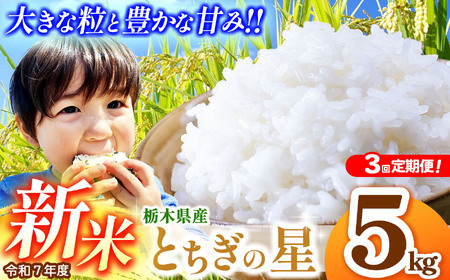 [先行予約][定期便3回]とちぎの星 5kg | 新米 真岡市産 こしひかり コシヒカリ とちぎの星 銘柄 お米 米 おにぎり おむすび ふるさと納税 先行 予約 栃木県 真岡市 送料無料 [TAE04-teiki3]
