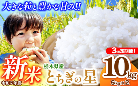 [先行予約][定期便3回]とちぎの星 5kg×2 (10kg) | 新米 真岡市産 こしひかり コシヒカリ とちぎの星 銘柄 お米 米 おにぎり おむすび ふるさと納税 先行 予約 栃木県 真岡市 送料無料 [TAE05-teiki3]