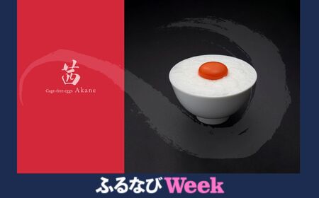 [ふるなびWEEK対象]見た目も旨みも想像以上 箱庭たまご 「箱庭茜」 10個 | 卵 たまご テレビ 話題 ごはん お供 タマゴ 卵かけ 真岡市 栃木県 送料無料 FN-Limited