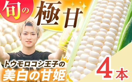 [先行予約]トウモロコシ王子の「美白の甘姫」 4本 | とうもろこし トウモロコシ 白トウモロコシ 白とうもろこし 野菜 スイーツ 甘い 栃木県 真岡市 送料無料
