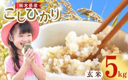  2026NxY Ȗ،Y RVqJ 5kg